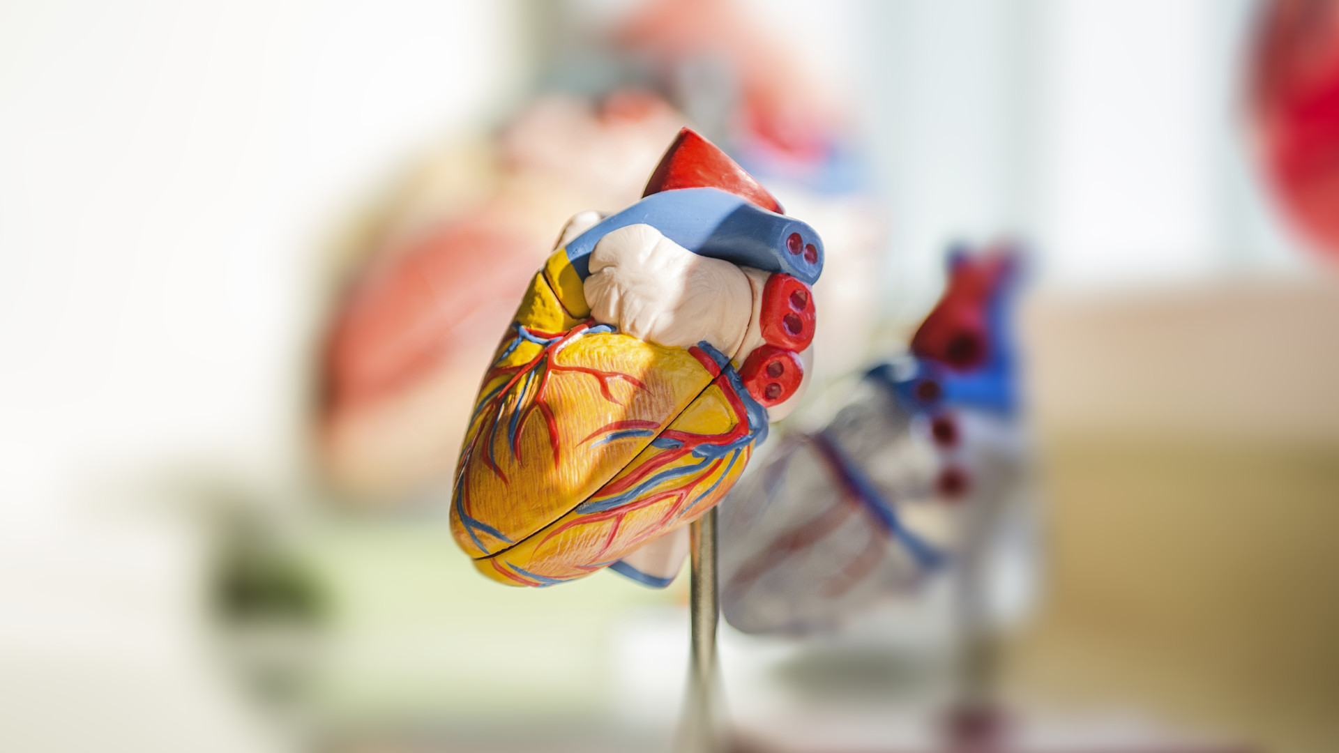 hearth-disease-good-sleep-american-sleep-clinic-frankfurt-2023